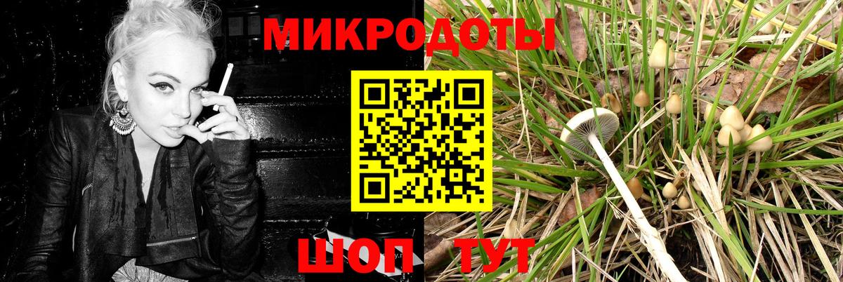Псилоцибиновые грибы мухоморы Алексеевка